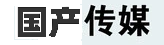 国产在线与传媒内容梳理中心